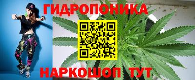 наркотики Камышлов