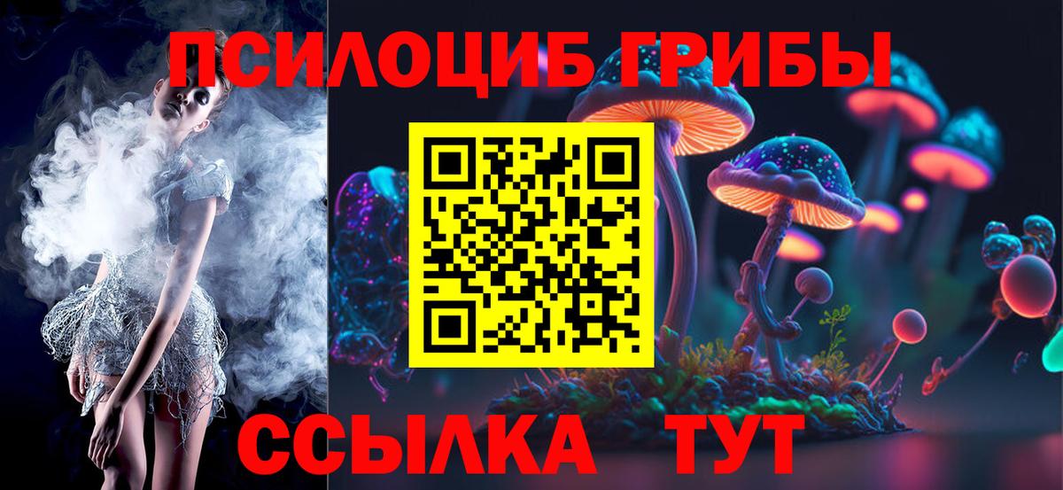 Псилоцибиновые грибы Cubensis Краснокаменск